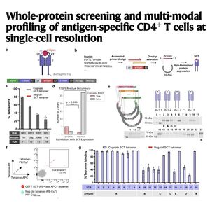 1125-Multi-Modal Profiling of Antigen-Specific CD4+ T Cells