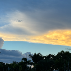 一些杂乱的记录，感觉我要接不住自己了