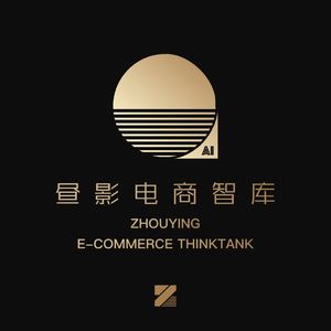 昼影电商智库
