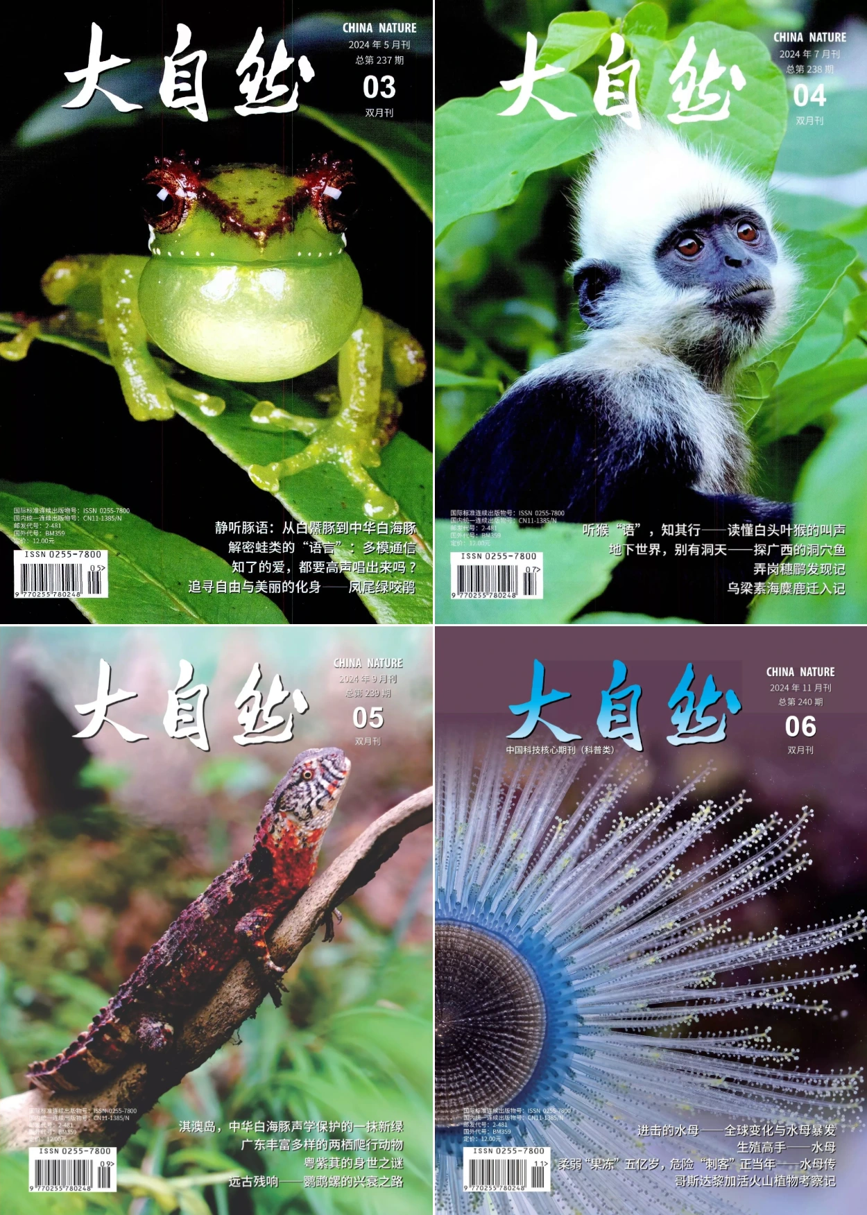 大自然 2024全年共6本 PDF