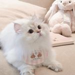 江云兮