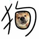 L小白