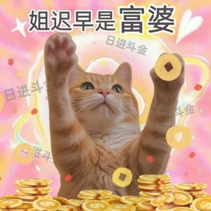 对谈叨叨：普通人的跨界心法、自媒体策略与财富自由