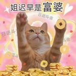 对谈叨叨：普通人的跨界心法、自媒体策略与财富自由