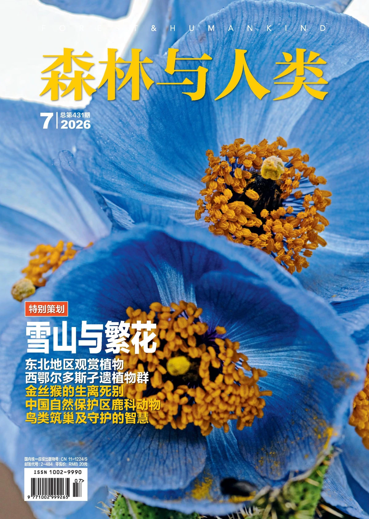 森林与人类 2026年7月 PDF