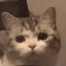 廾藤