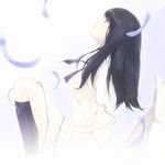 石榴国的今西
