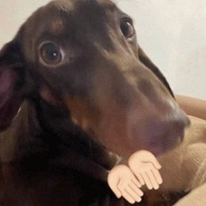 podcaster-avatar
