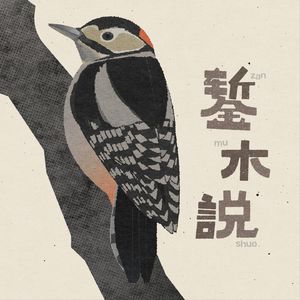 錾木说