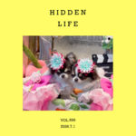 vol.595：打工人的“隐秘欢愉”（第二回）