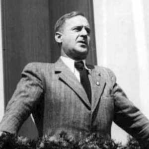 纳粹党海外活动的组织与宣传