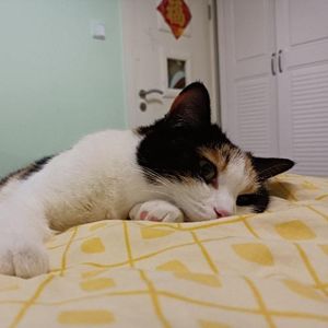 故事绘（肥子宝的绘本小角落)