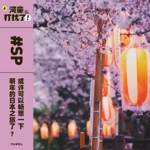 SP 或许可以畅想一下明年的日本之旅了?