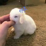 1點烦人