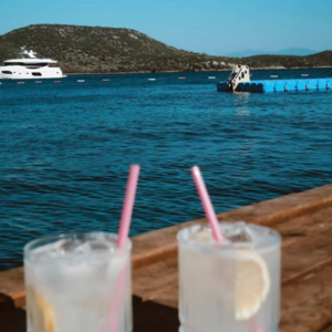 E08:这个世界应该是有趣的,不然我也不会整天都想着玩