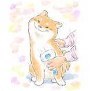 加xj
