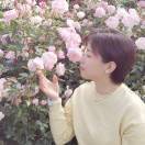 芳年华月
