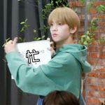 TF家族崔福福