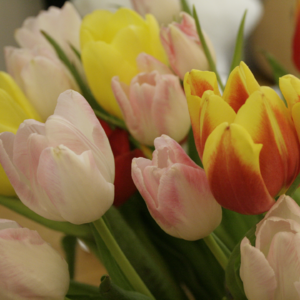 媎妹闲话 | 2024 年底女巫聚会