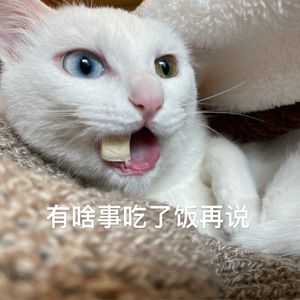 Rox_Y