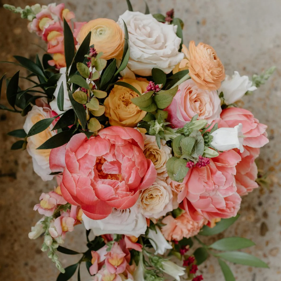 番外丨拜年啦！大年初二！抽奖送礼物！送祝福！