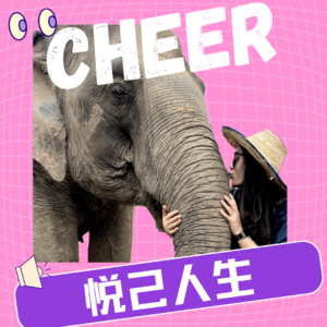 悦己人生