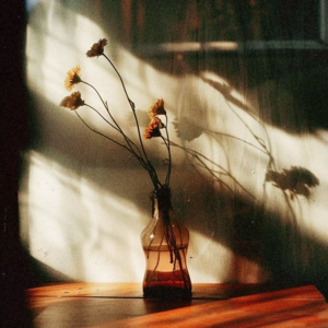 004.女孩，你总觉得自己不配得吗？