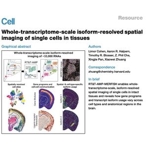 1367-Whole-Transcriptome Isoform-Resolved Spatial Imaging