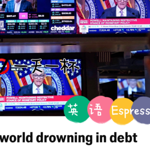 【258】陷入负债沼泽的世界