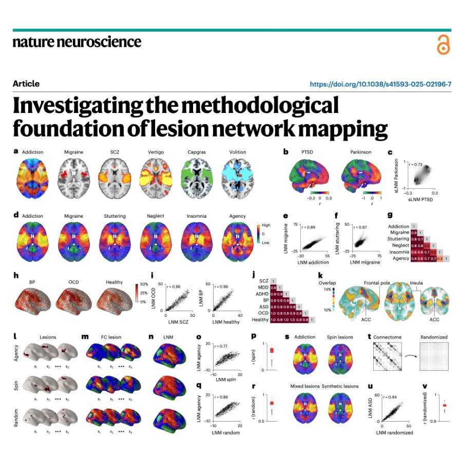 611-Methodological Limitations in Lesion Network Mapping episode artwork