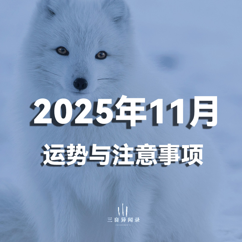 【月运】2025年11月 运势与注意事项，沉淀中拥抱应对变化 episode artwork