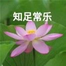 狗速颠勺