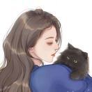 混乱的猫