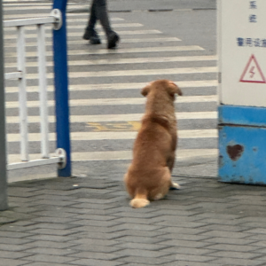 032 长大就是我可以不再被动等待