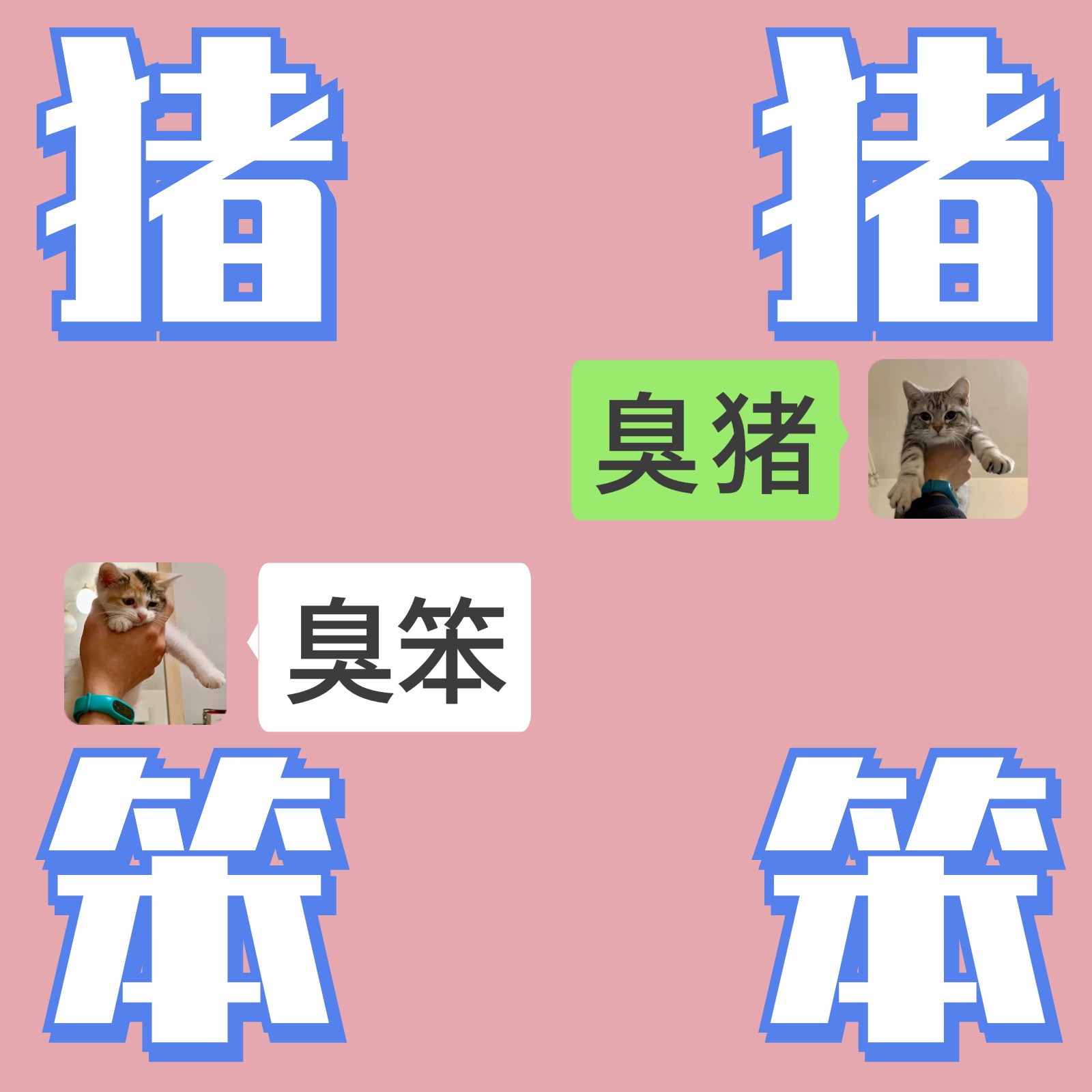 logo of podcast 猪猪笨笨