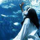 Freedom_Tnn2