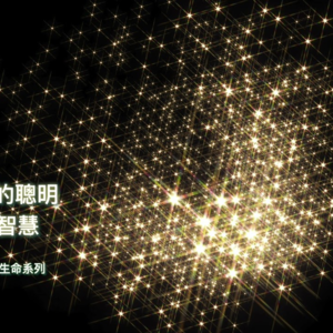 杨定一：全面打开，交给更大的聪明，也就是智慧 (2022.03.19)