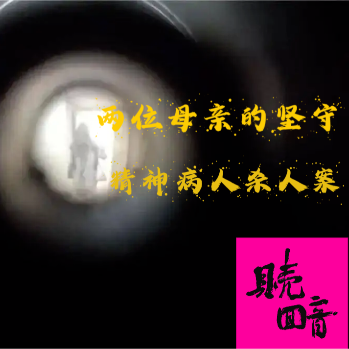 EP20.两位母亲的坚守-精神病人杀人案 episode artwork