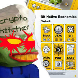 06 | 解码 Bitverse:为何抛弃以太坊,进入比特币建设元宇宙?