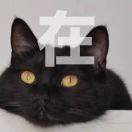 黑化肥会发灰