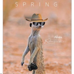 podcaster-avatar