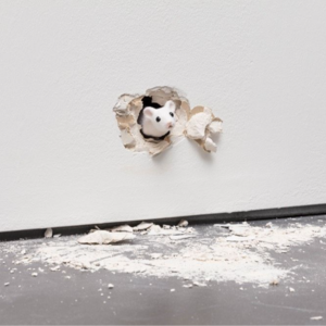 Vol.082 花钱不多，幸福不少：学会识货，幸福其实可被抄底