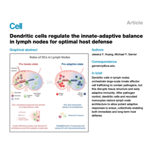 426-Dendritic Cells Orchestrate Innate-Adaptive Trade-offs