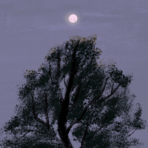 EP02 | 13min内40种脑部放松按摩音