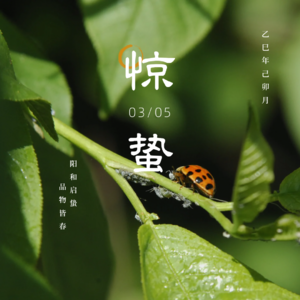 Vol.05 雷动惊蛰|卯月焕新 事业能量与天地法则的共鸣