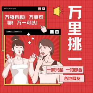 万里挑一