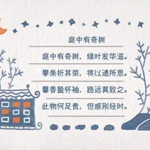 03 思念是一种花香