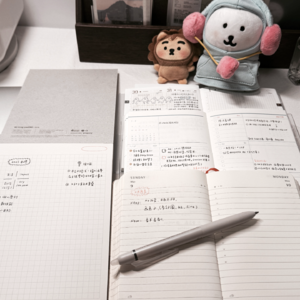 用新模式开启二月新阶段 📅 Feb.1