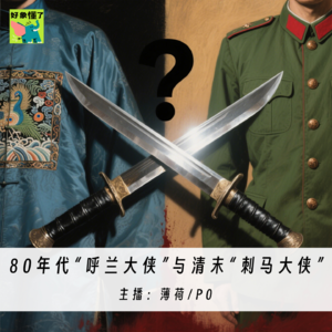 011.不会再有答案的案件：80年代“呼兰大侠”与清末“刺马大侠”