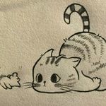 一只mao猫